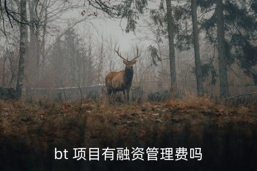 bt 項目有融資管理費(fèi)嗎