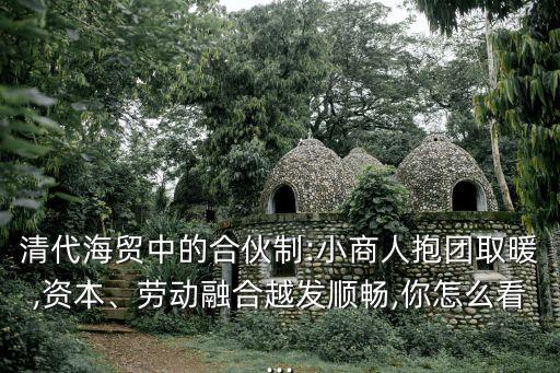 清代海貿(mào)中的合伙制:小商人抱團取暖,資本、勞動融合越發(fā)順暢,你怎么看...