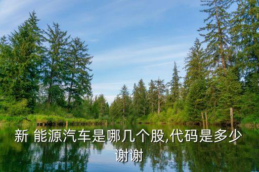新 能源汽車(chē)是哪幾個(gè)股,代碼是多少謝謝