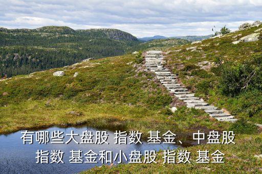 有哪些大盤股 指數(shù) 基金、中盤股 指數(shù) 基金和小盤股 指數(shù) 基金