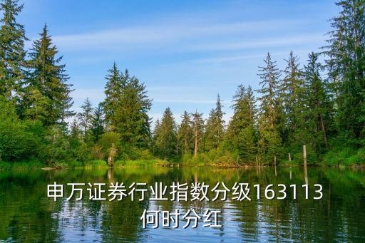  申萬(wàn)證券行業(yè)指數(shù)分級(jí)163113何時(shí)分紅