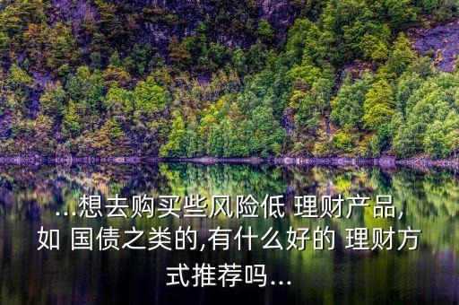 ...想去購買些風(fēng)險低 理財(cái)產(chǎn)品,如 國債之類的,有什么好的 理財(cái)方式推薦嗎...