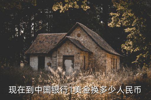 現在到中國銀行1美金換多少人民幣