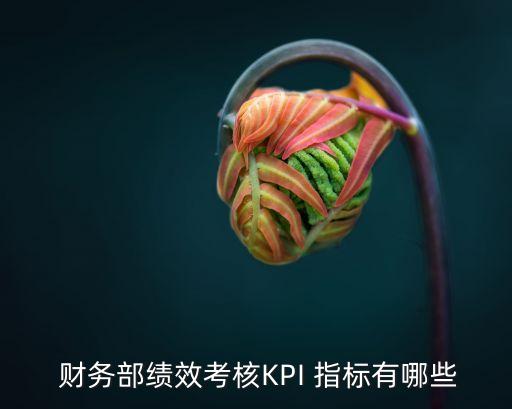  財(cái)務(wù)部績效考核KPI 指標(biāo)有哪些