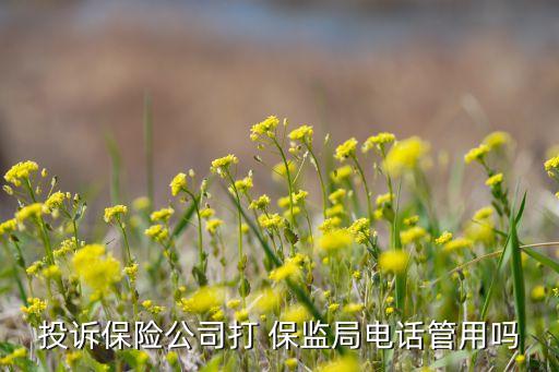 中國保監(jiān)會北京保監(jiān)局,保監(jiān)會有關部門、保監(jiān)局要建立