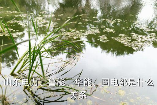 山東電力、魯能、華能、國電都是什么關系