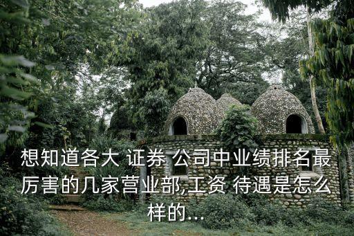 想知道各大 證券 公司中業(yè)績(jī)排名最厲害的幾家營業(yè)部,工資 待遇是怎么樣的...