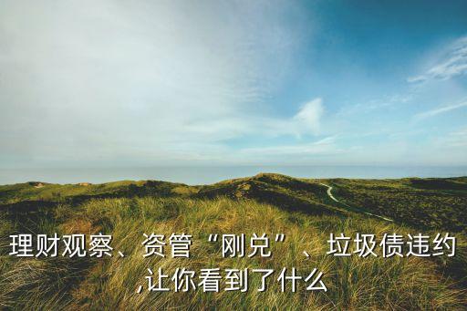 理財觀察、資管“剛兌”、垃圾債違約,讓你看到了什么