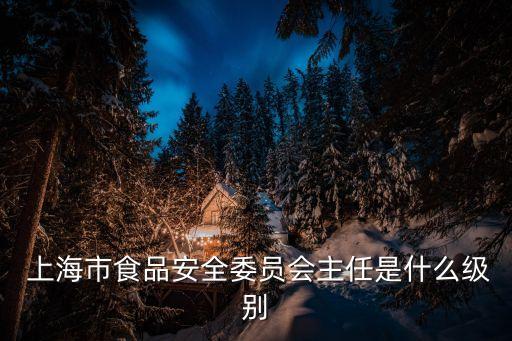 上海市食品安全委員會(huì)主任是什么級別