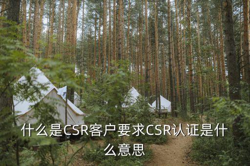 什么是CSR客戶(hù)要求CSR認(rèn)證是什么意思