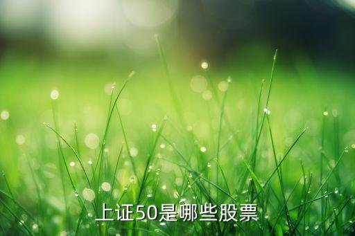 中國泛?？毓杉瘓F董事長,泛海集團董事長叫什么名字