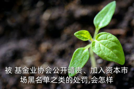 被 基金業(yè)協(xié)會(huì)公開(kāi)譴責(zé)、加入資本市場(chǎng)黑名單之類的處罰,會(huì)怎樣