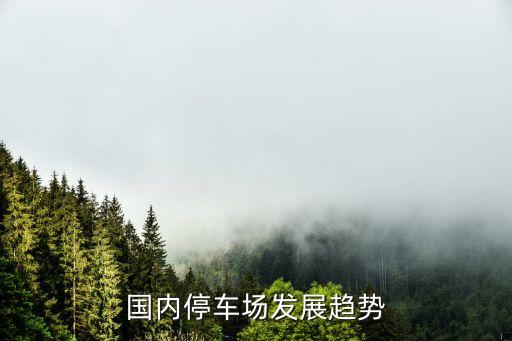 國內(nèi)停車場(chǎng)發(fā)展趨勢(shì)