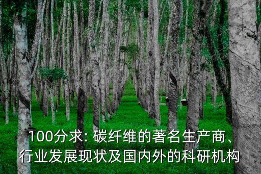 100分求: 碳纖維的著名生產(chǎn)商、行業(yè)發(fā)展現(xiàn)狀及國內(nèi)外的科研機構(gòu)