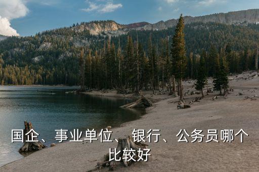 國(guó)企、事業(yè)單位、 銀行、公務(wù)員哪個(gè)比較好