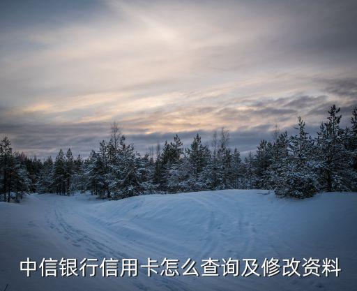  中信銀行信用卡怎么查詢(xún)及修改資料