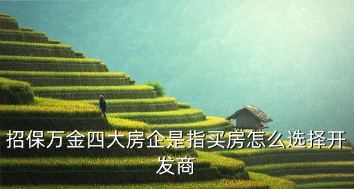 招保萬(wàn)金四大房企是指買房怎么選擇開(kāi)發(fā)商