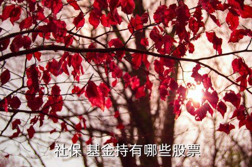 社?；鹚囊蝗M合,全國社?；鹚囊蝗M合最新持股明細