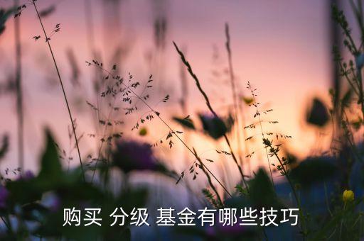 購(gòu)買(mǎi) 分級(jí) 基金有哪些技巧