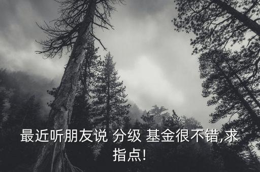 最近聽(tīng)朋友說(shuō) 分級(jí) 基金很不錯(cuò),求指點(diǎn)!