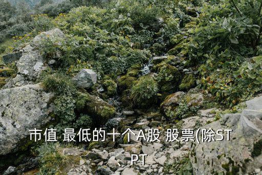 市值 最低的十個(gè)A股 股票(除ST、PT