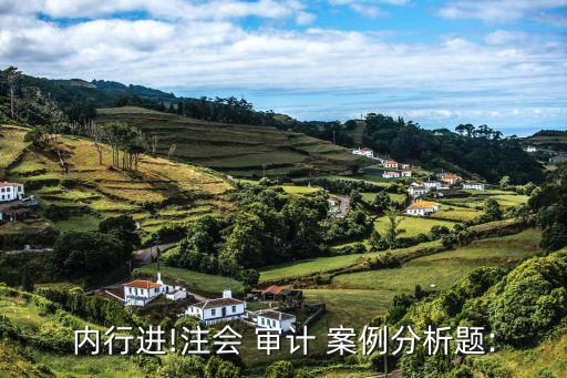 內行進!注會 審計 案例分析題: