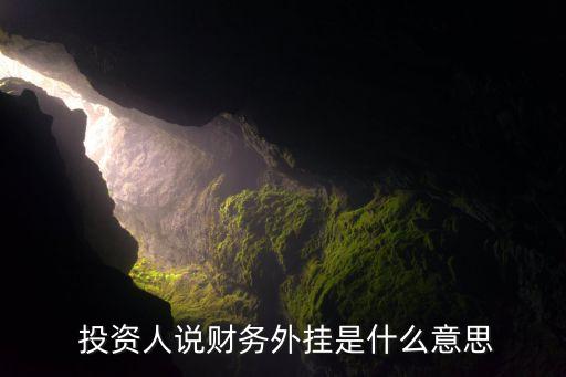  投資人說財務(wù)外掛是什么意思