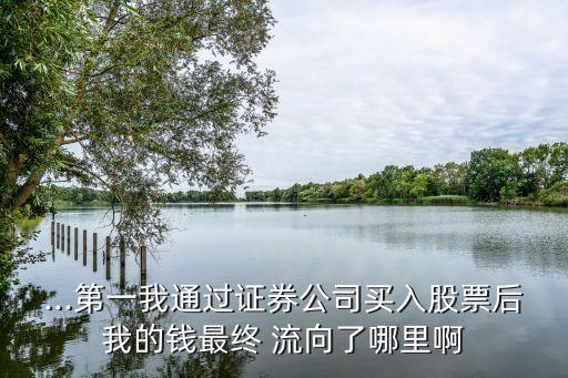 ...第一我通過(guò)證券公司買入股票后我的錢(qián)最終 流向了哪里啊