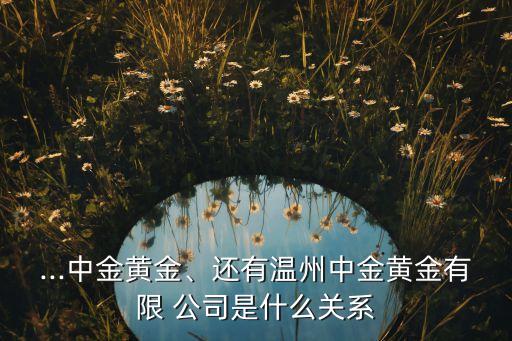 ...中金黃金、還有溫州中金黃金有限 公司是什么關(guān)系