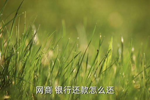 網商 銀行還款怎么還