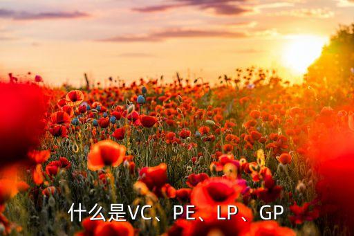 什么是VC、PE、LP、GP