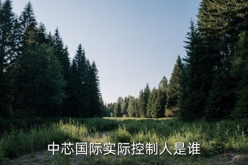 中芯國(guó)際實(shí)際控制人是誰