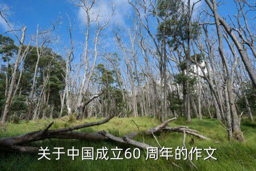 關于中國成立60 周年的作文