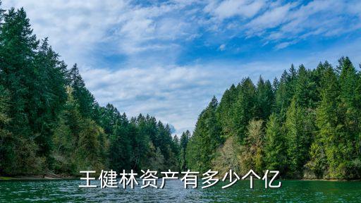 中國億萬富豪個(gè)數(shù),中國的億萬富豪