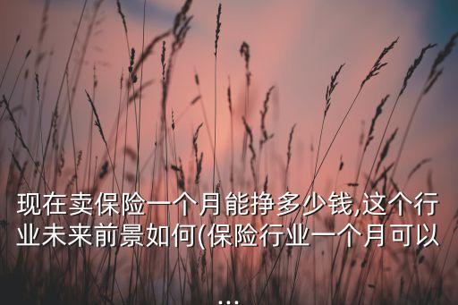 現(xiàn)在賣保險(xiǎn)一個(gè)月能掙多少錢,這個(gè)行業(yè)未來前景如何(保險(xiǎn)行業(yè)一個(gè)月可以...