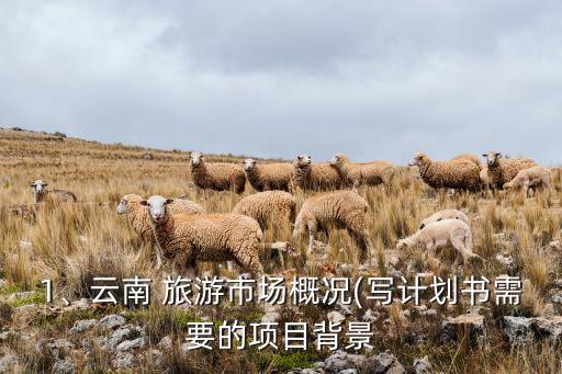 1、云南 旅游市場概況(寫計劃書需要的項目背景