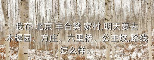 我在 北京 豐臺(tái)樊 家村,明天要去木樨園、方莊、六里橋、公主墳,路線怎么樣...