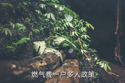  燃?xì)赓M一戶多人政策