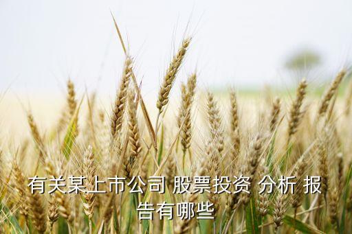 有關某上市公司 股票投資 分析 報告有哪些