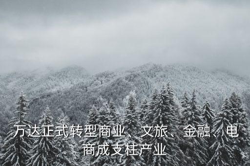 萬達(dá)正式轉(zhuǎn)型商業(yè)、文旅、金融、電商成支柱產(chǎn)業(yè)