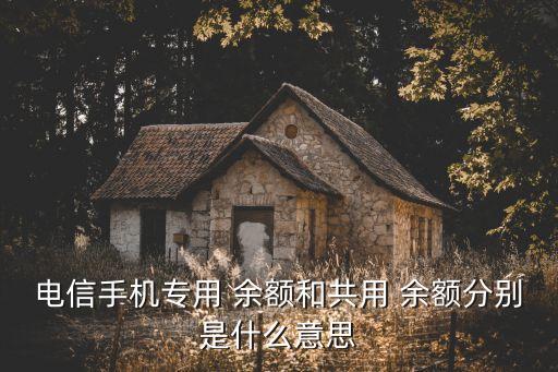 中國電信?？顚ｍ椨囝~