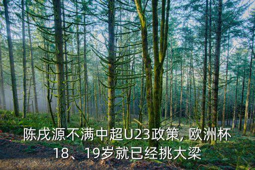 陳戌源不滿中超U23政策, 歐洲杯18、19歲就已經(jīng)挑大梁