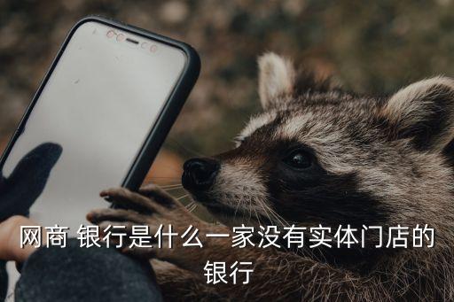網商 銀行是什么一家沒有實體門店的 銀行