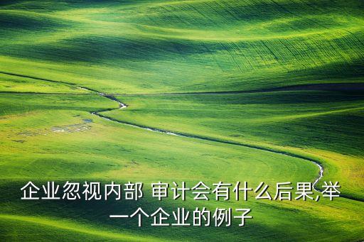 企業(yè)忽視內部 審計會有什么后果,舉一個企業(yè)的例子