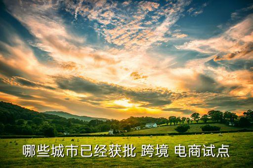 上?？缇畴娚堂麊?第一批跨境電商試點城市名單