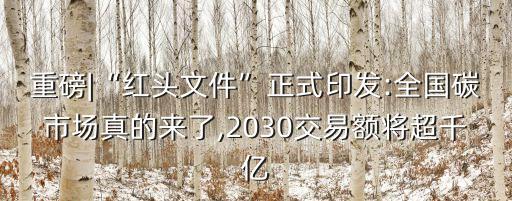 重磅|“紅頭文件”正式印發(fā):全國碳市場(chǎng)真的來了,2030交易額將超千億