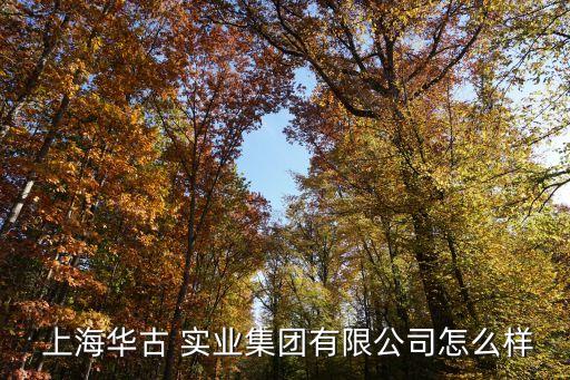  上海華古 實業(yè)集團(tuán)有限公司怎么樣