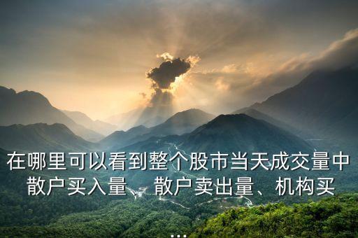 在哪里可以看到整個(gè)股市當(dāng)天成交量中 散戶買入量、 散戶賣出量、機(jī)構(gòu)買...