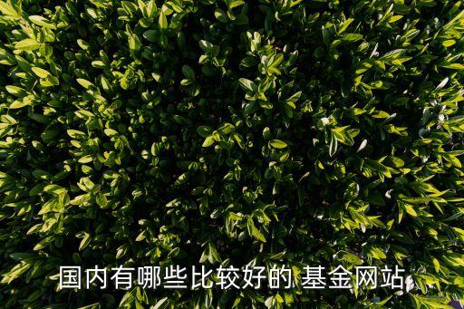 國內有哪些比較好的 基金網站