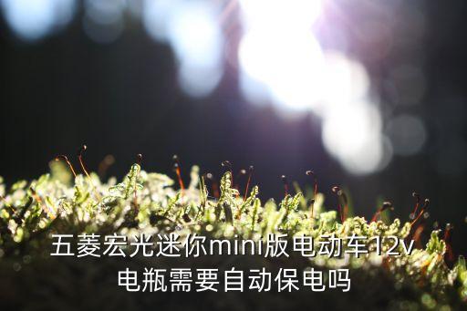 五菱宏光迷你mini版電動(dòng)車12v電瓶需要自動(dòng)保電嗎